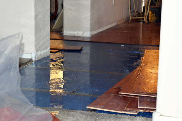 Professional Sewage Cleanup technician working in Floresville, TX